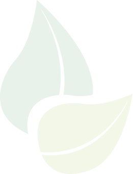 favicon sulayr